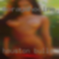 Houston bulls swingers